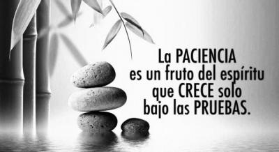 Miércoles 