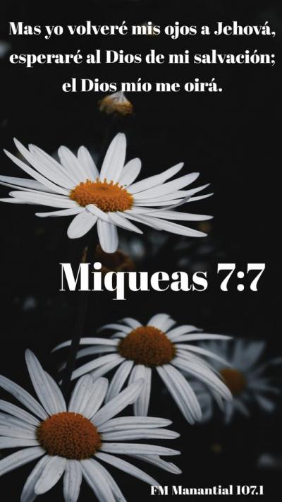 Lunes Contigo