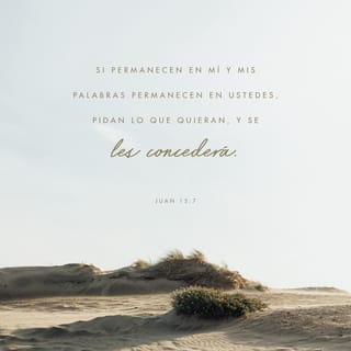 Jesús te ama
