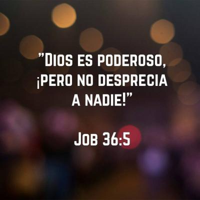 Adoración