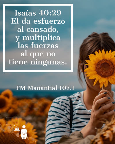 Lunes Contigo
