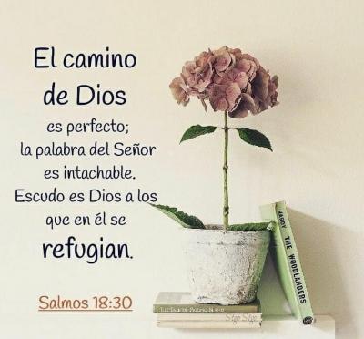 Contra Reloj