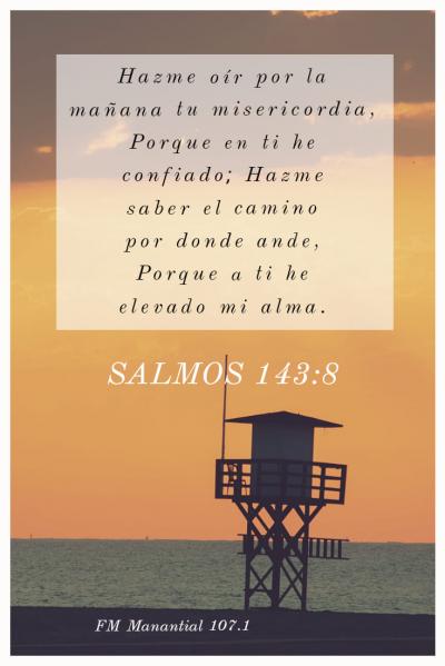 Lunes Contigo